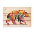 Wile E. Wood 15 x 11 in. Bartholets Rainbow Grizzly Wood Art DBRG-1511